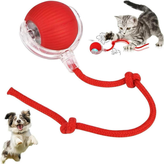 Cat Teaser Ball